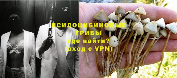 прущая мука Белокуриха